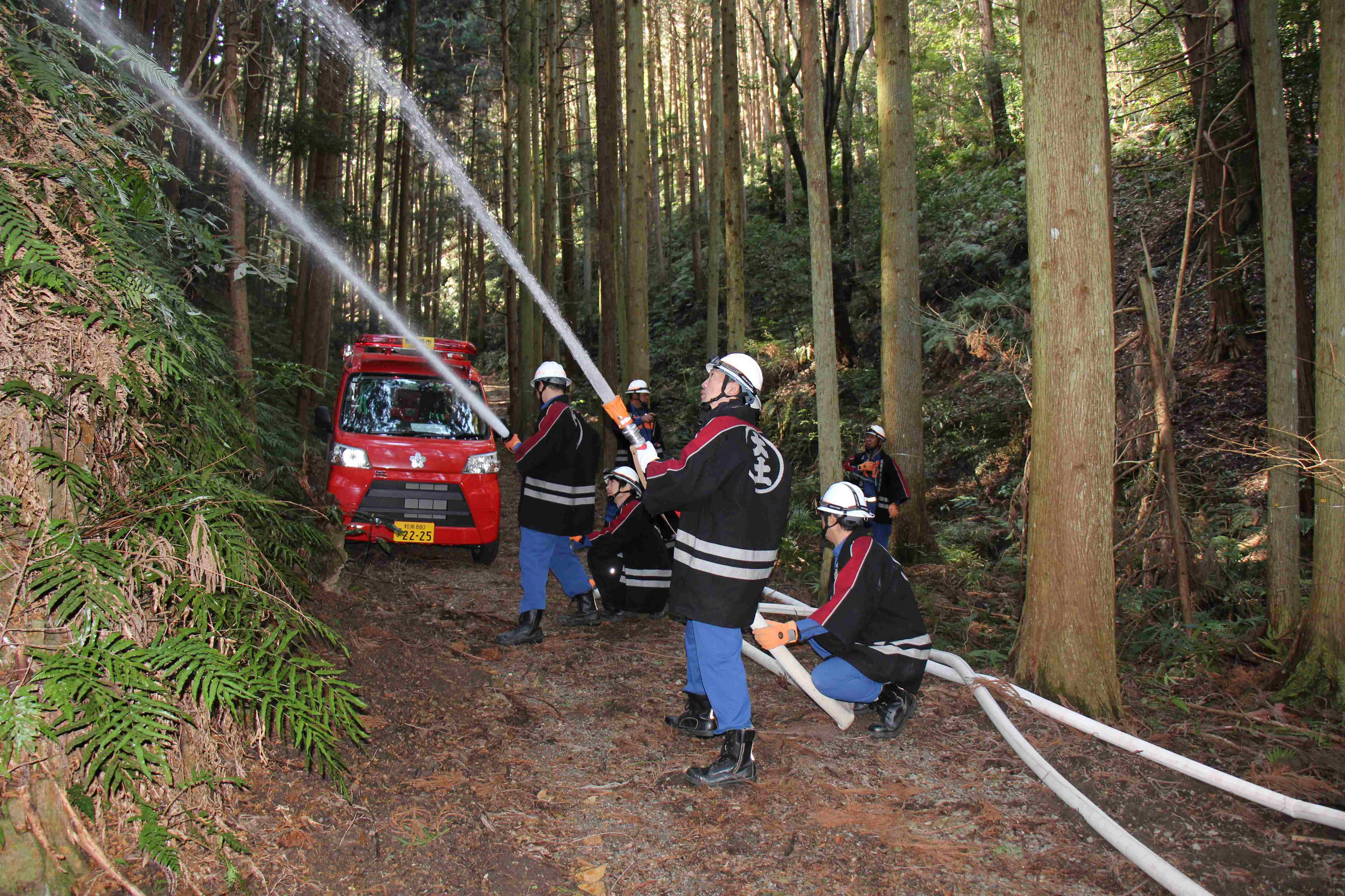 IMG_8501 (JPG 887KB)