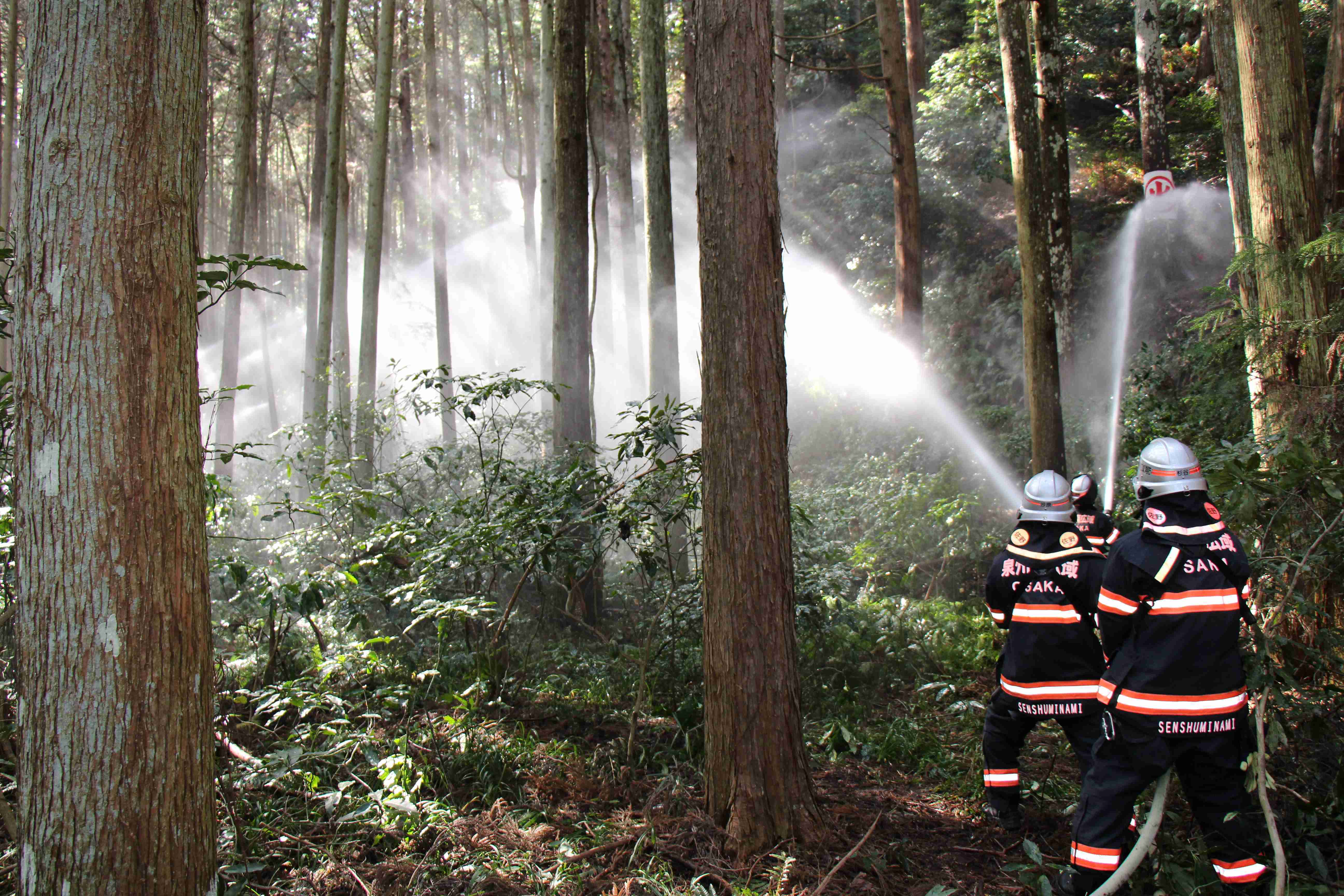 IMG_8528 (JPG 808KB)