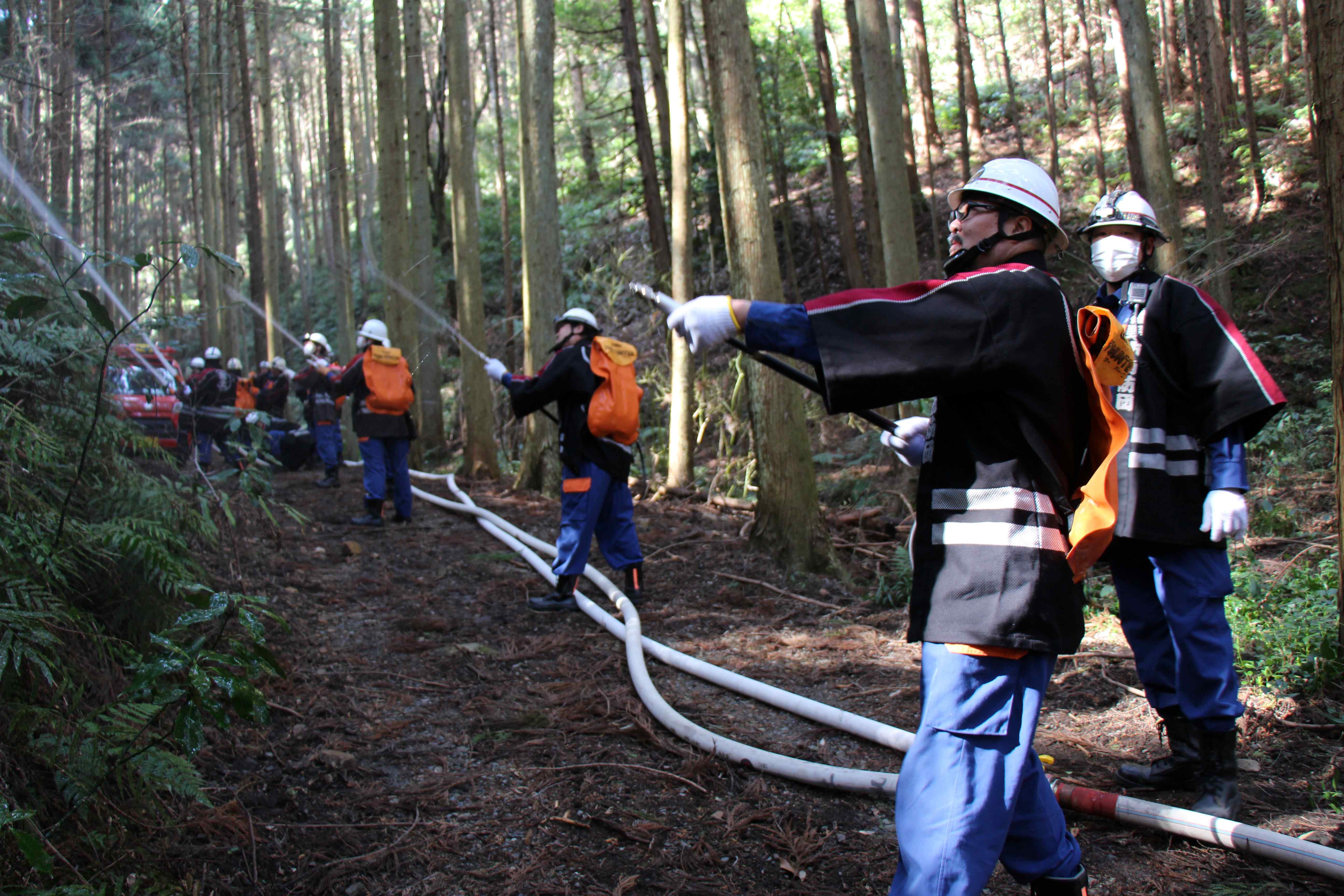 IMG_8533 (JPG 828KB)