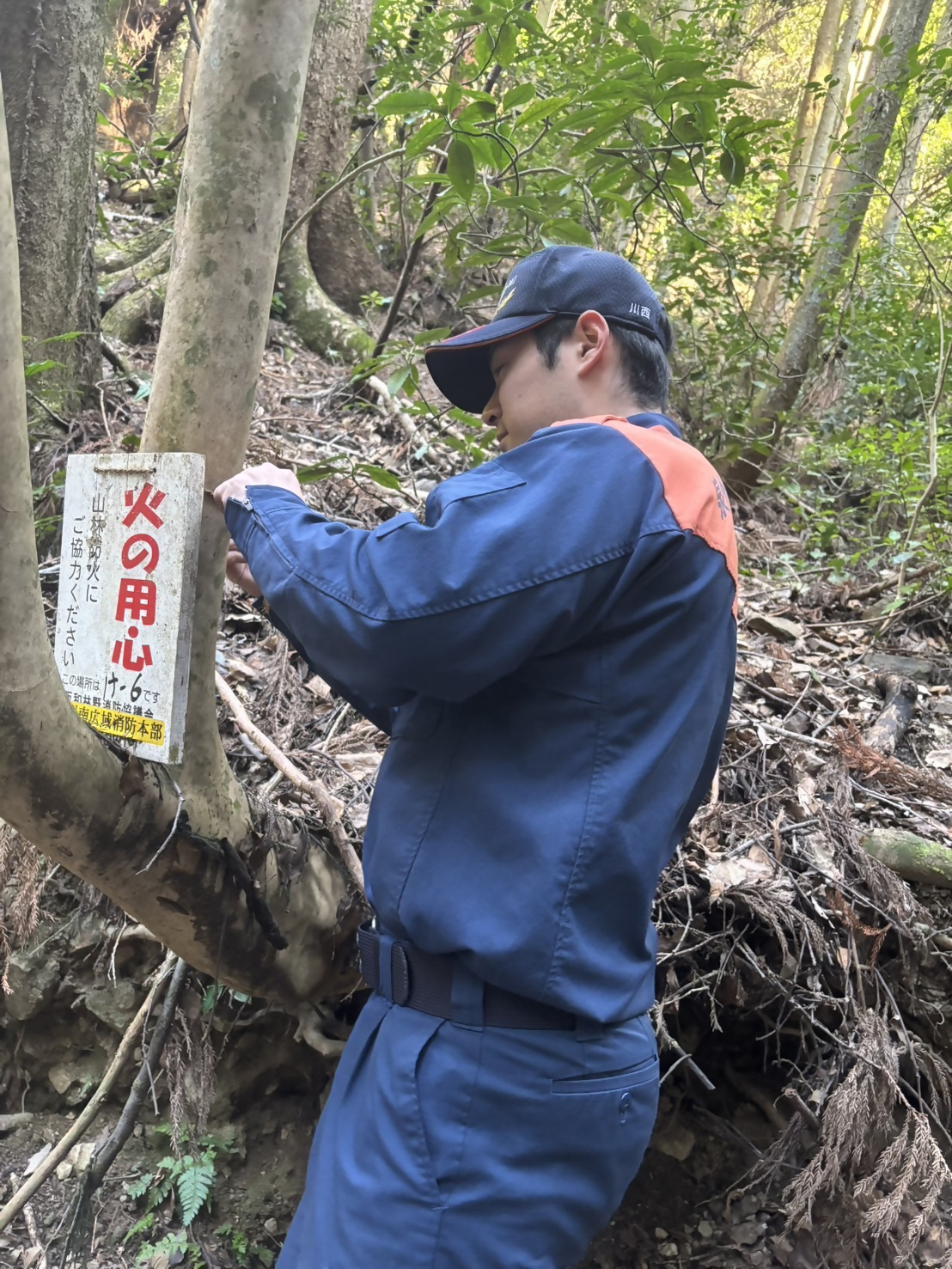 IMG_8543 (JPEG 639KB)